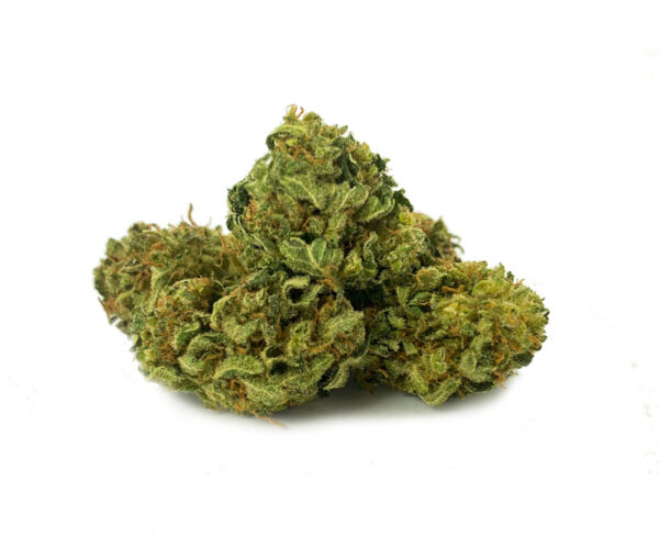 Mimosa CBD Blüten