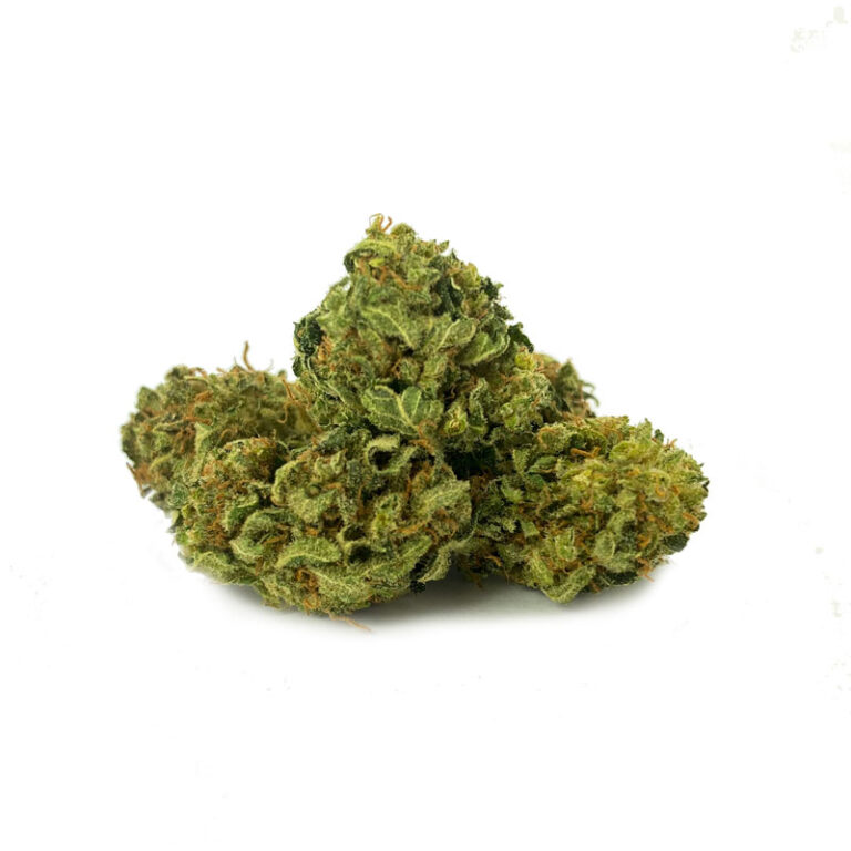 Mimosa CBD Blüten