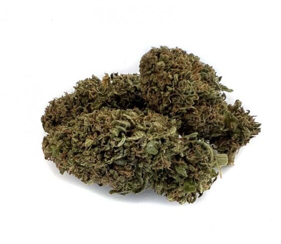 XL-Buds CBD Blüten