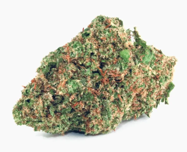 CBD Probier-Set