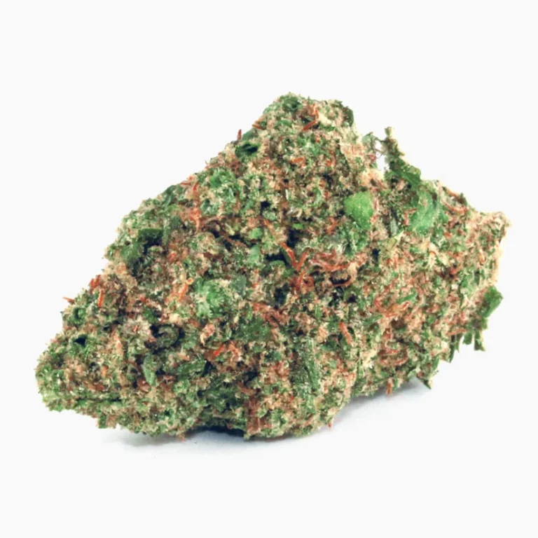 CBD Probier-Set