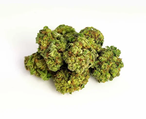 HIGH CBD Blüten Amnesia Haze