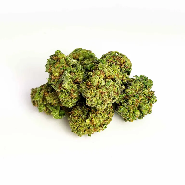 HIGH CBD Blüten Amnesia Haze