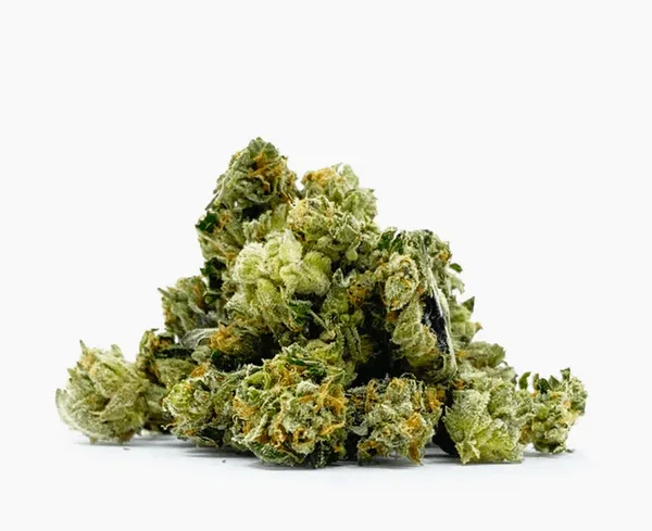 Minibud Premium Orange Bud