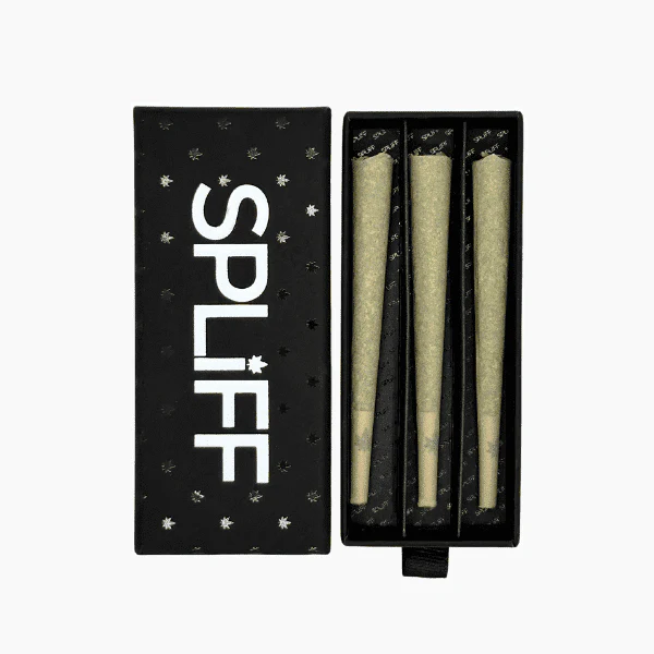 Schachtel mit 3 Pre-Rolls